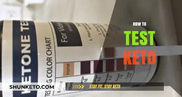 Exploring the Keto Lifestyle: A Beginner's Guide to Testing Ketosis