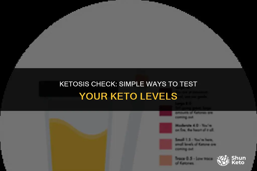 how to test yoir keto levels