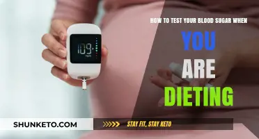 Testing Blood Sugar While Dieting: What You Need to Know
