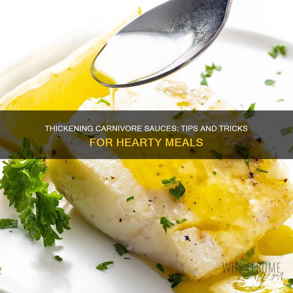 how to thicken sauce on carnivore diet
