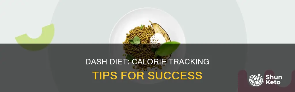 how to track dash diet calories