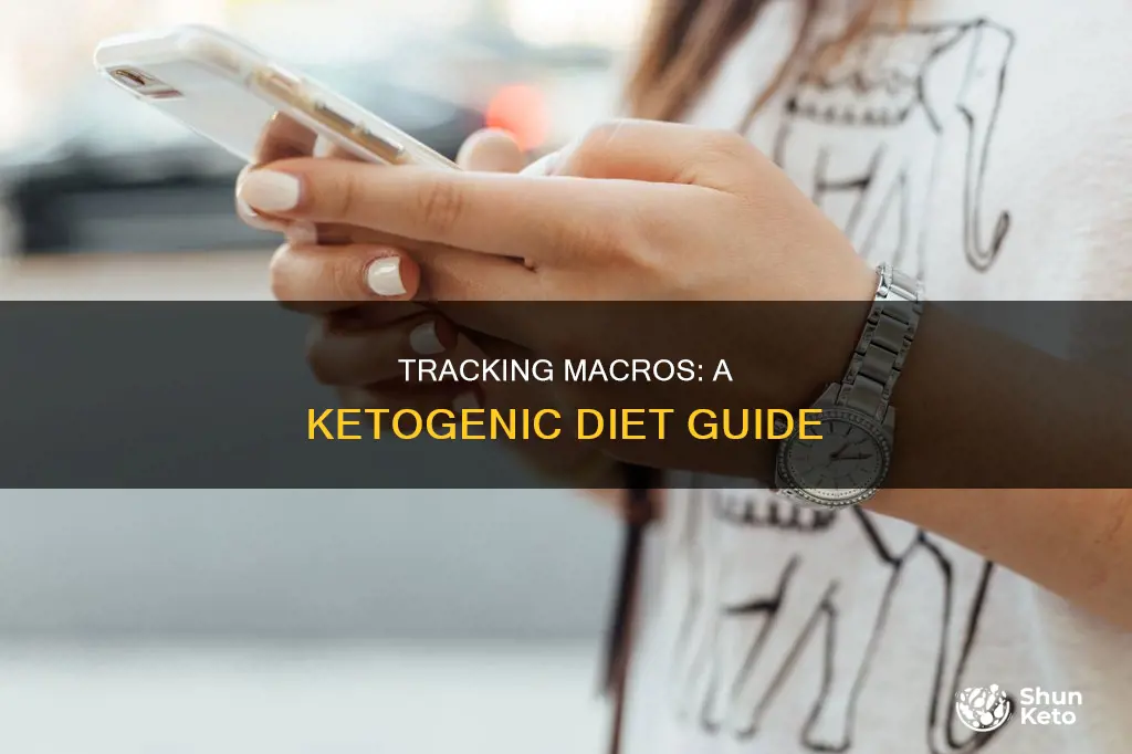 how to track macros on ketogenic diet