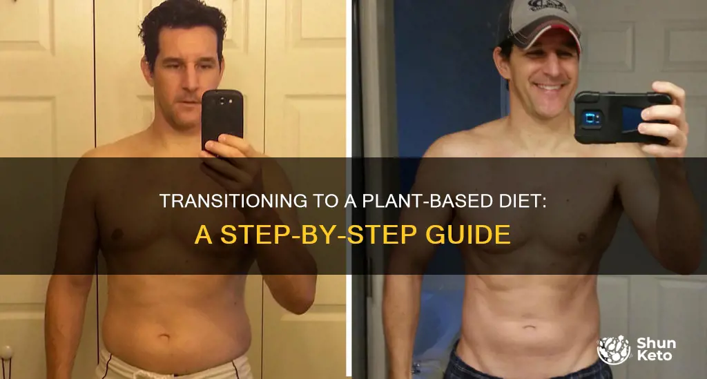 how to transfer to a plant based diet