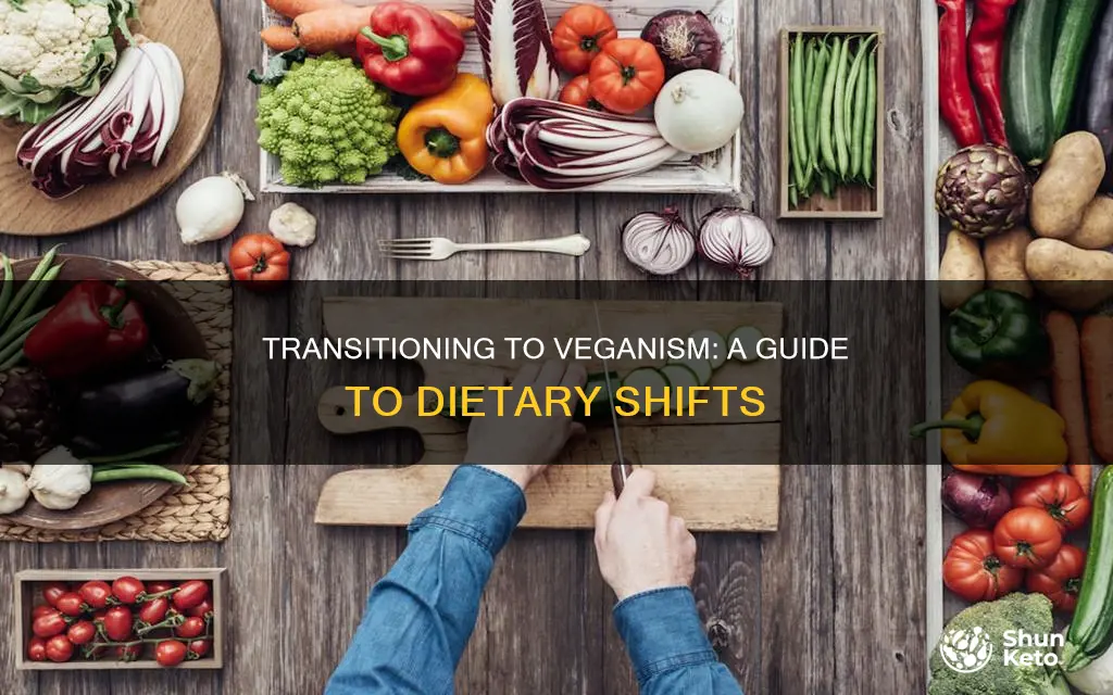 how to transfer to a vegan diet