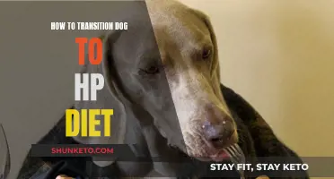 Transitioning Your Dog to a Raw Food Diet