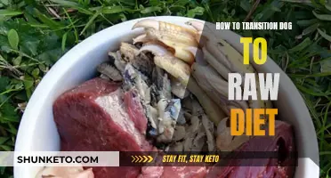 Transitioning Your Dog to a Raw Diet: A Guide