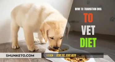 Transitioning Your Dog to a Vet Diet: A Step-by-Step Guide