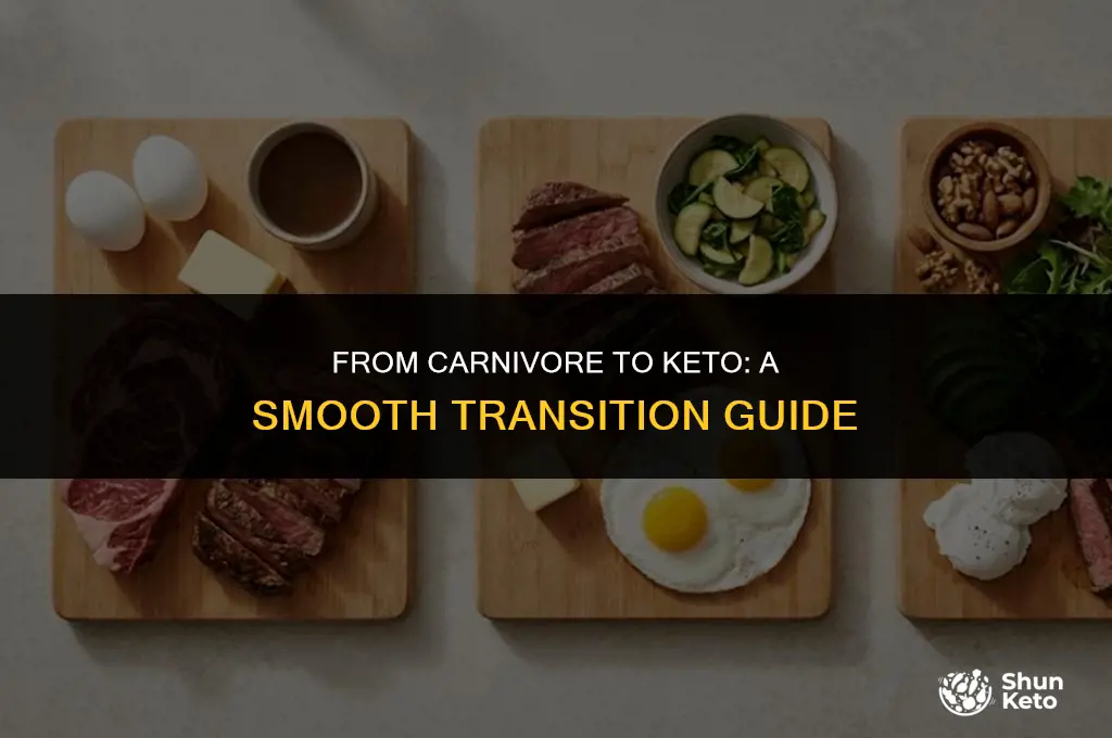 how to transition from carnivore to keto