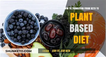 Transitioning from Keto to Plant-Based: A Healthy Diet Shift Guide