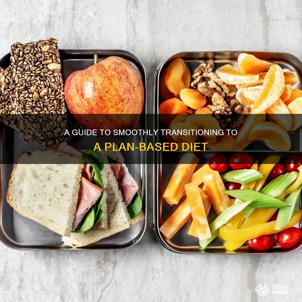 how to transition to a plan based diet