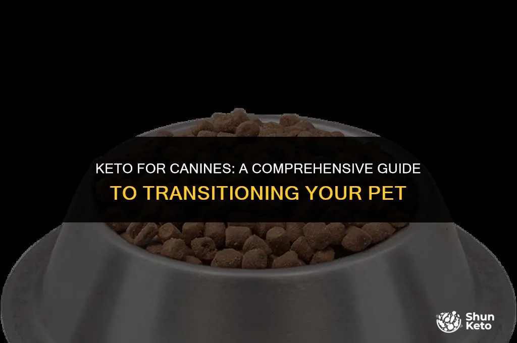 how to transition your pet to keto