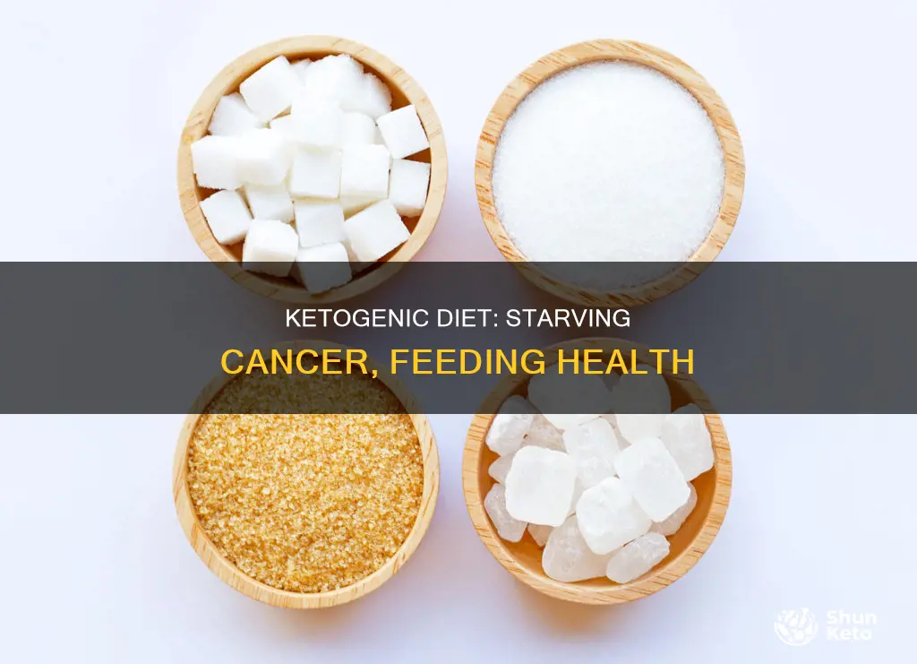 how to treat your own cancer with a ketogenic diet