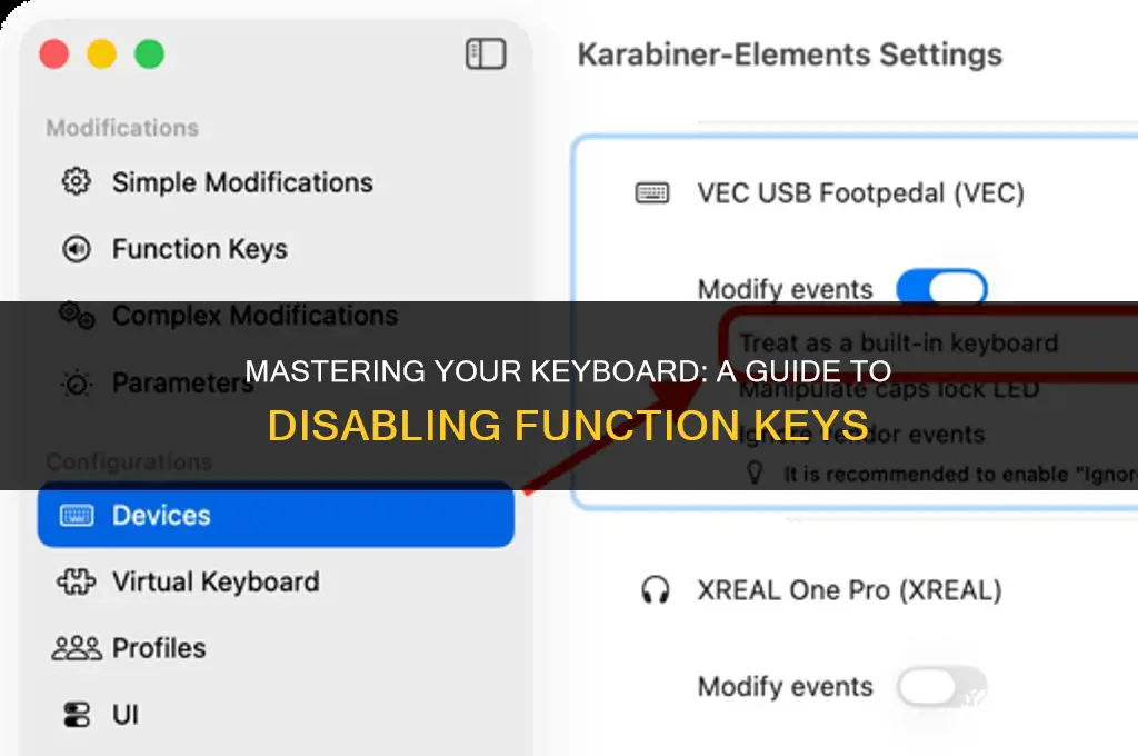 how to turn off fn kets