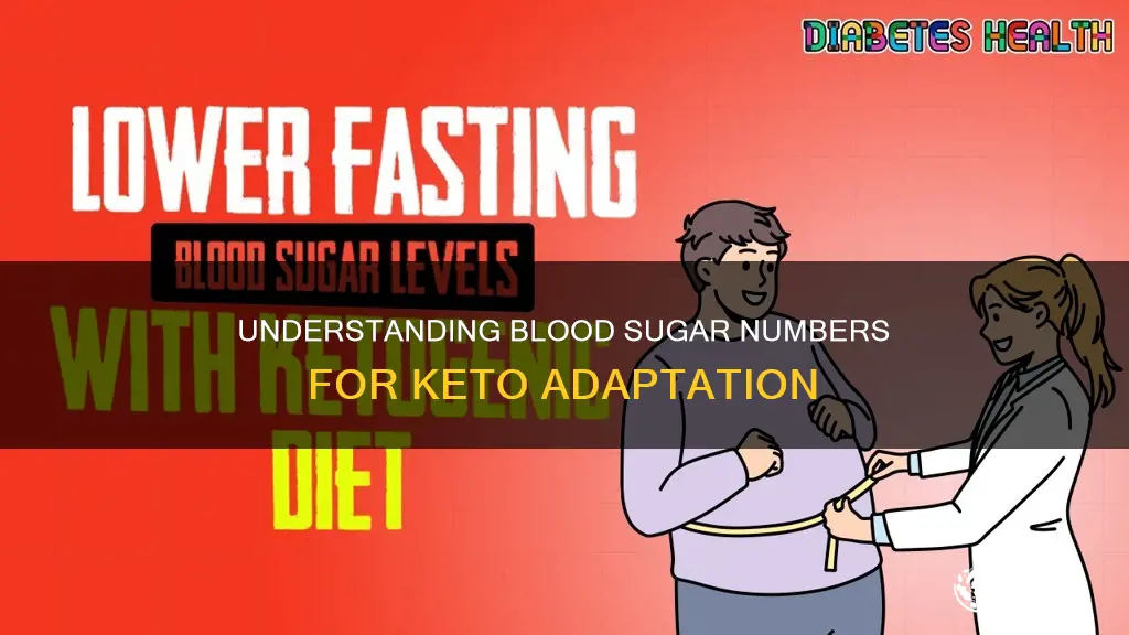 how to understand your blood sugar number to keto adapt