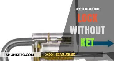 Mastering the Art of Lock Picking: A Guide to Unlocking USGS Locks Without a Key