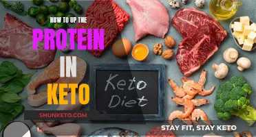 Boosting Protein Intake for a Successful Keto Diet