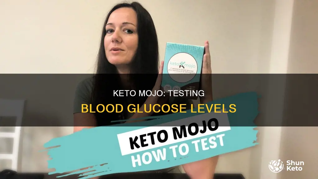 how to use a keto mojo blood glucose test