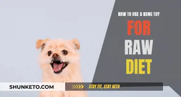 Kong Toys: Enhancing Your Dog's Raw Diet Experience