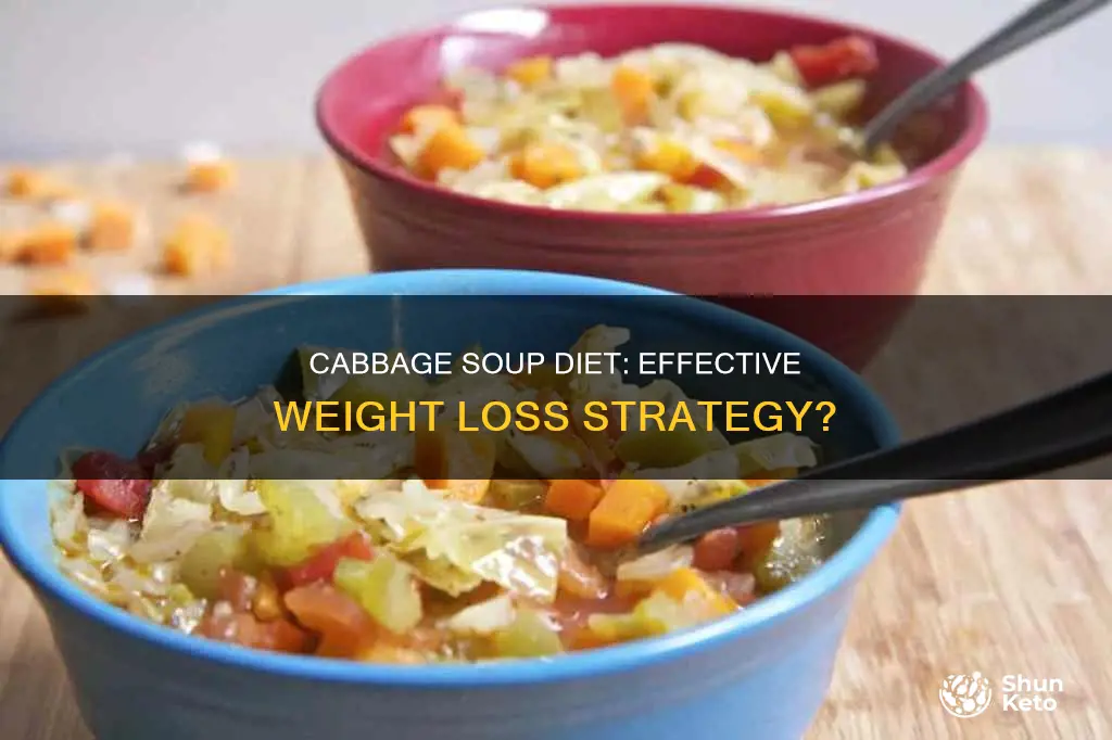 how to use cabbabe soup diet