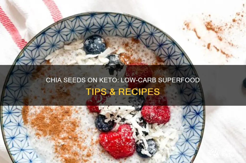 how to use chia seeds in keto diet