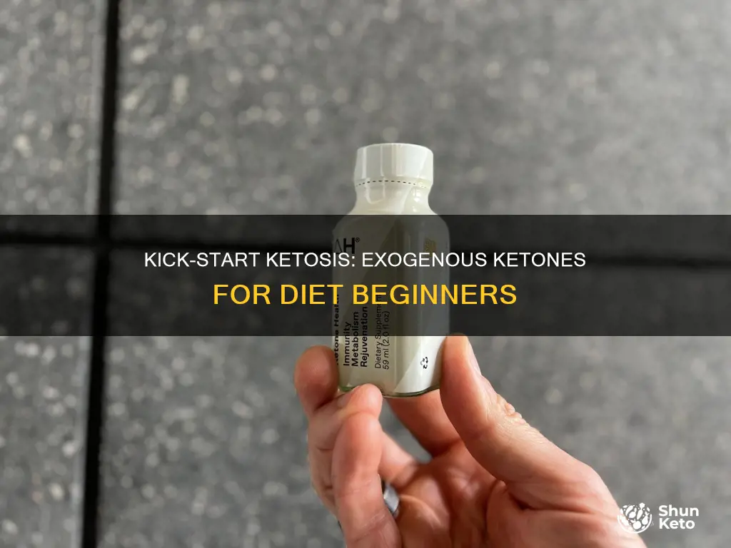 how to use exogenous ketones to start a ketogenic diet