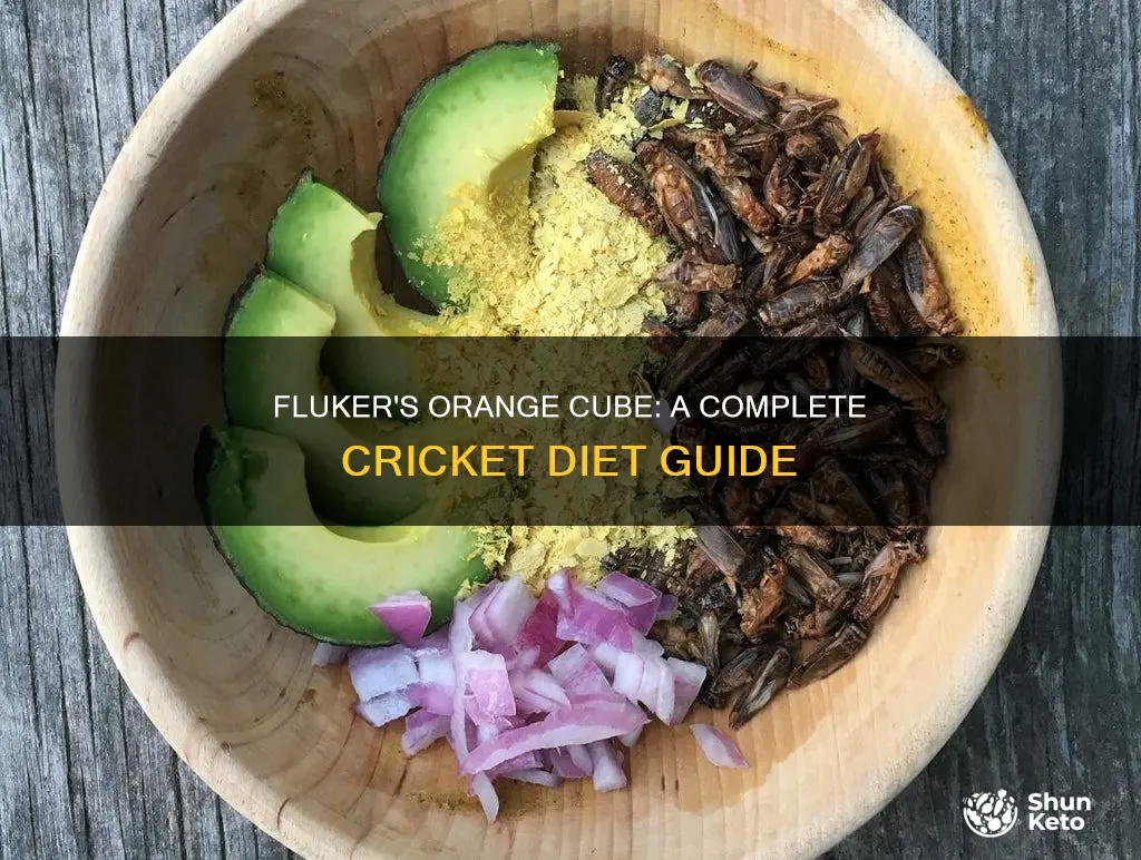 how to use fluker