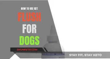 Using Ket Flush for Dogs: A Comprehensive Guide