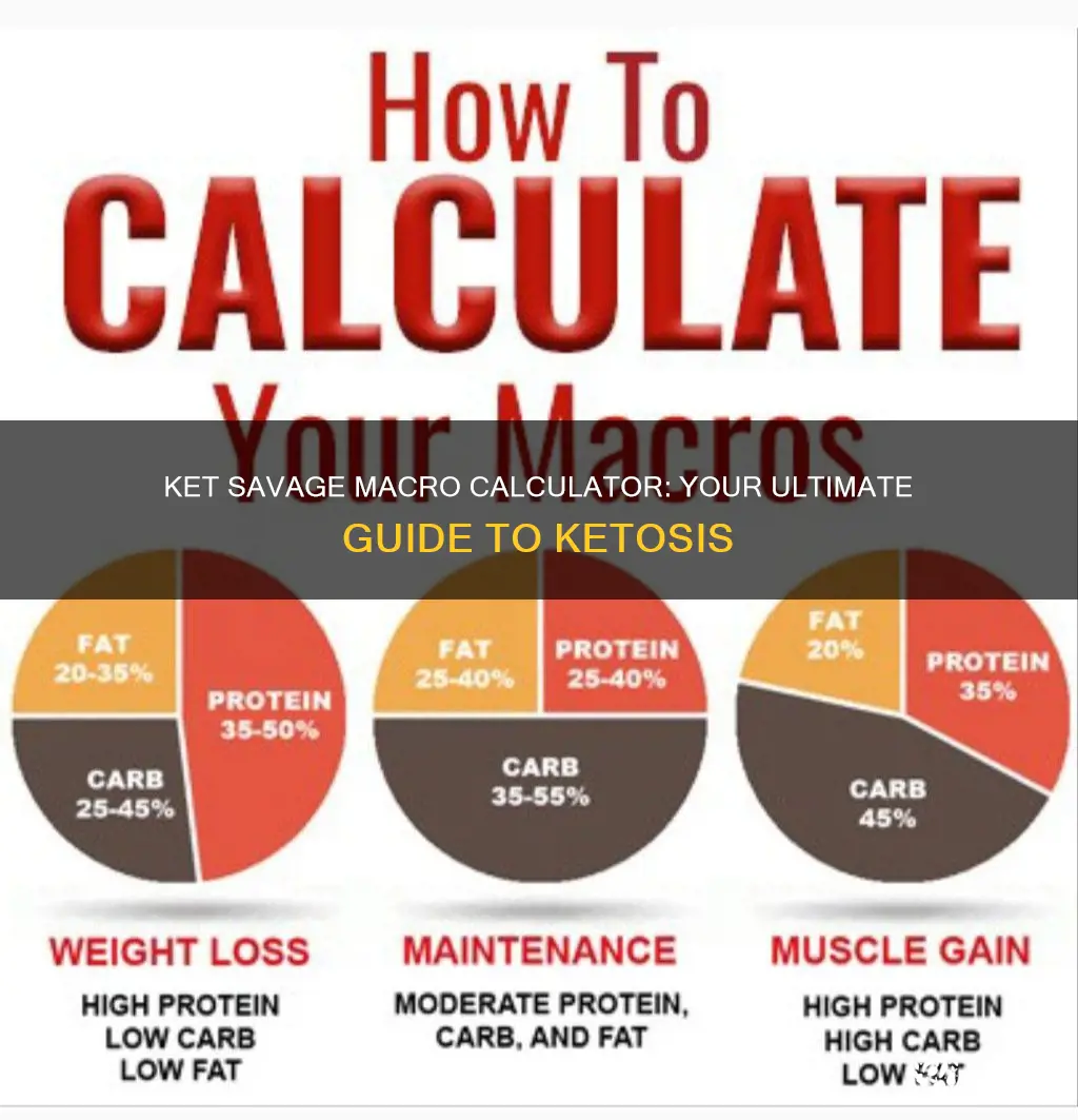 how to use ket savage macro calculator