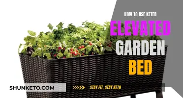 Elevated Gardening: Keter Garden Bed Setup and Care Guide