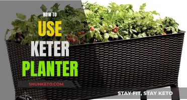 Keter Planter: Easy Steps to Grow Your Garden