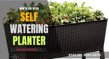 Keter Self-Watering Planter: Easy Steps to Use It