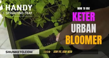 Keter Urban Bloomer: Assembly and Usage Guide