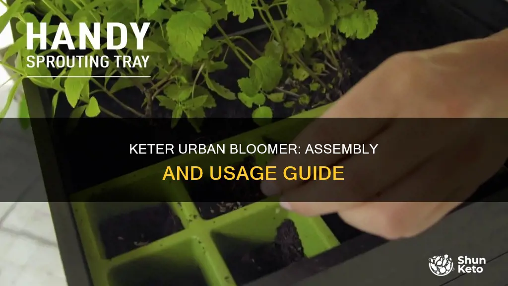 how to use keter urban bloomer