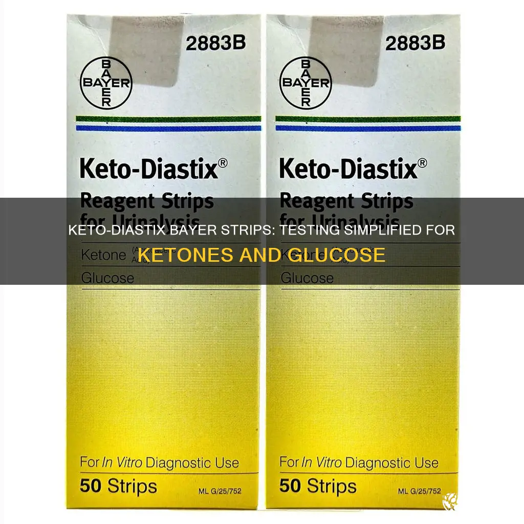 how to use keto-diastix bayer reagent strips