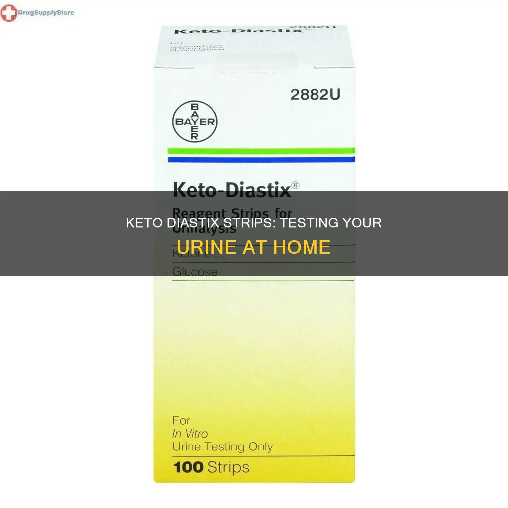 how to use keto diastix reagent strips for urinalysis