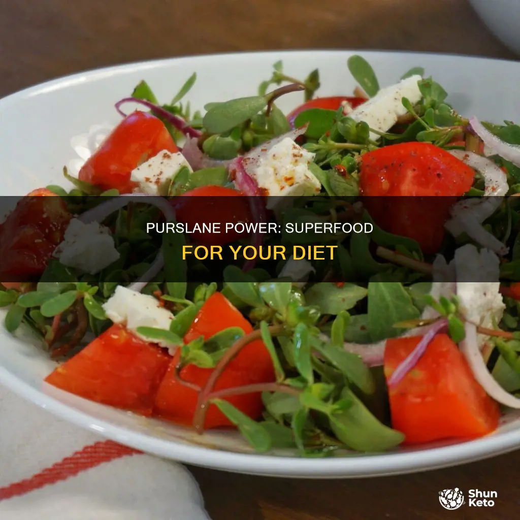 how to use purslane in your diet