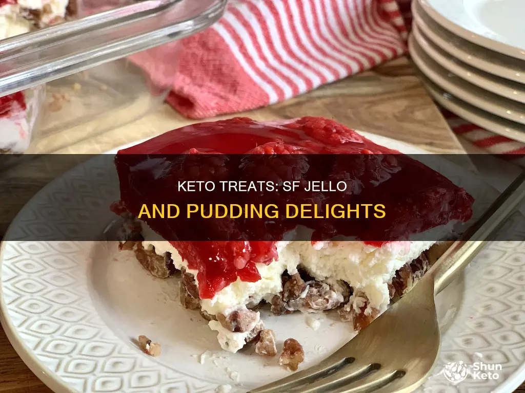 how to use sf jello and sf pudding for keto