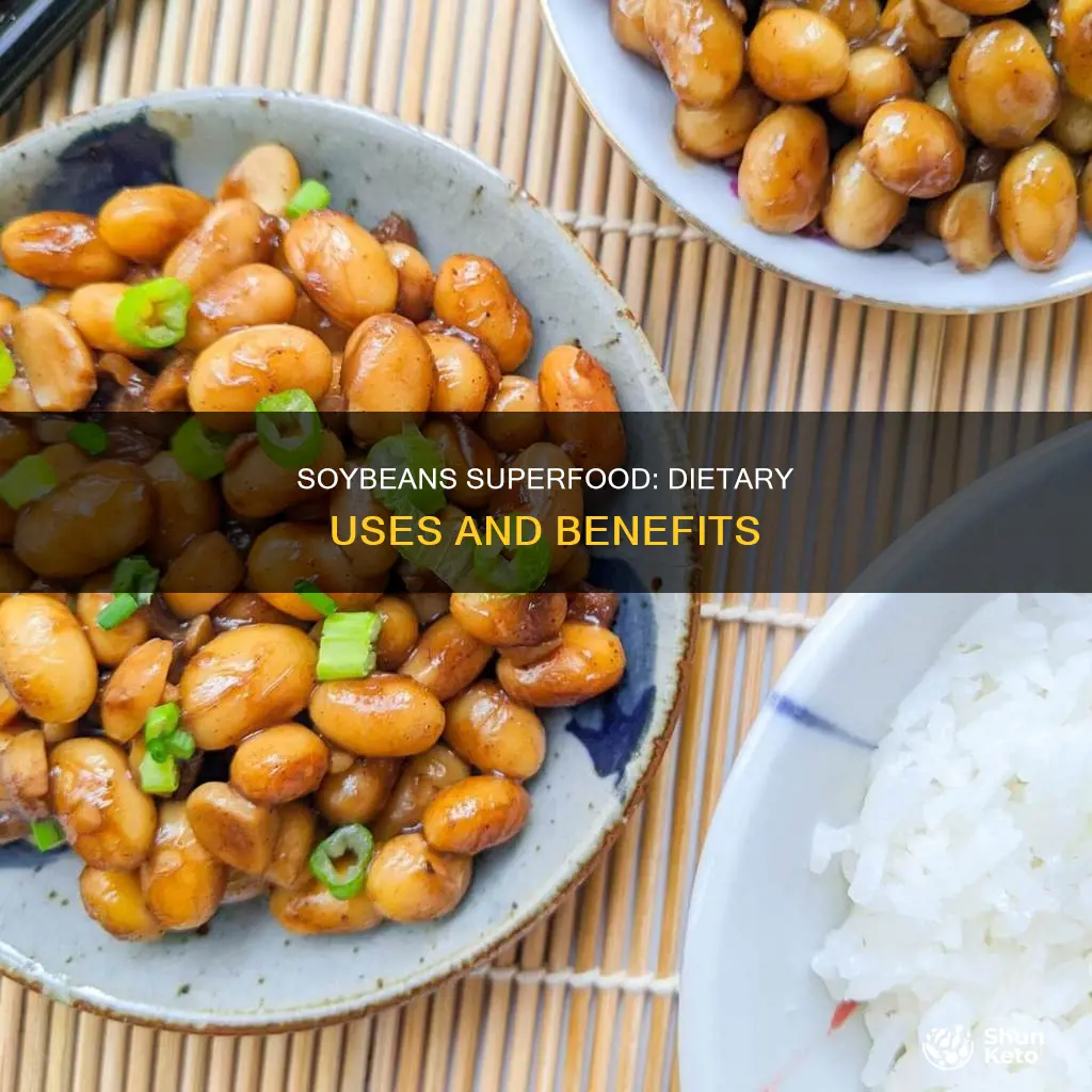how to use soybeans in diet