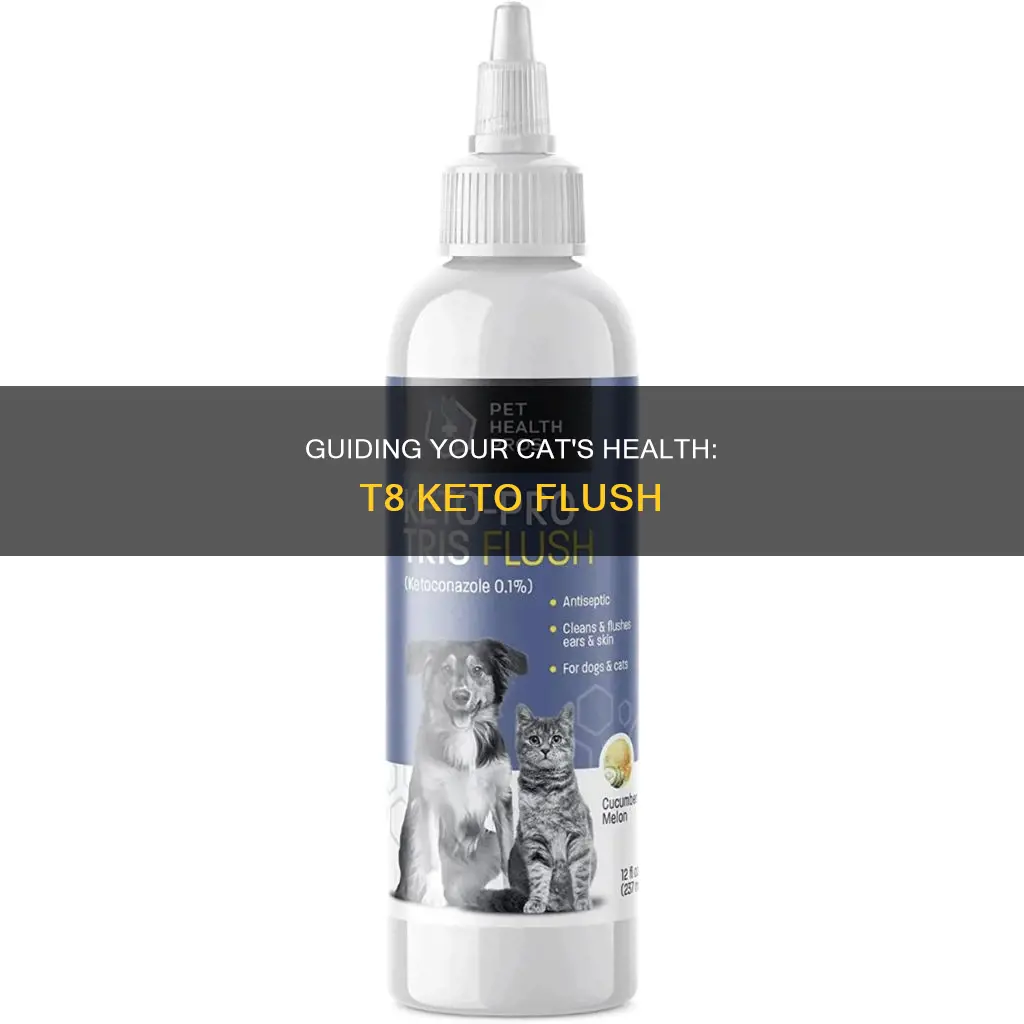 how to use t8 keto flush on a cat