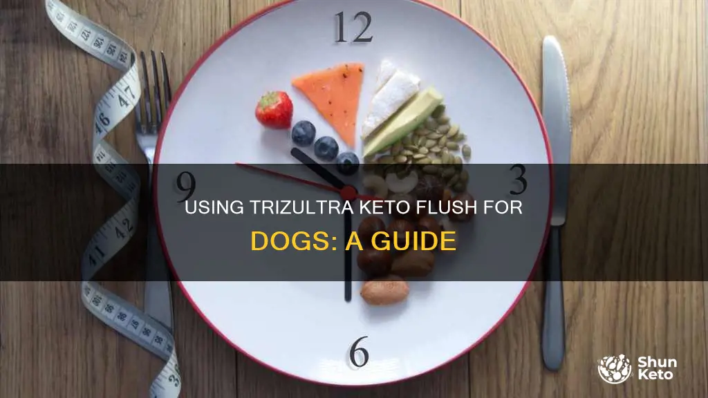 how to use trizultra keto flush for dogs