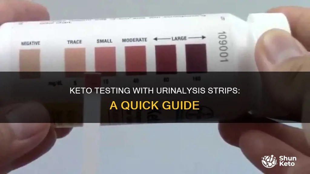 how to use urinalysis strips for keto testing