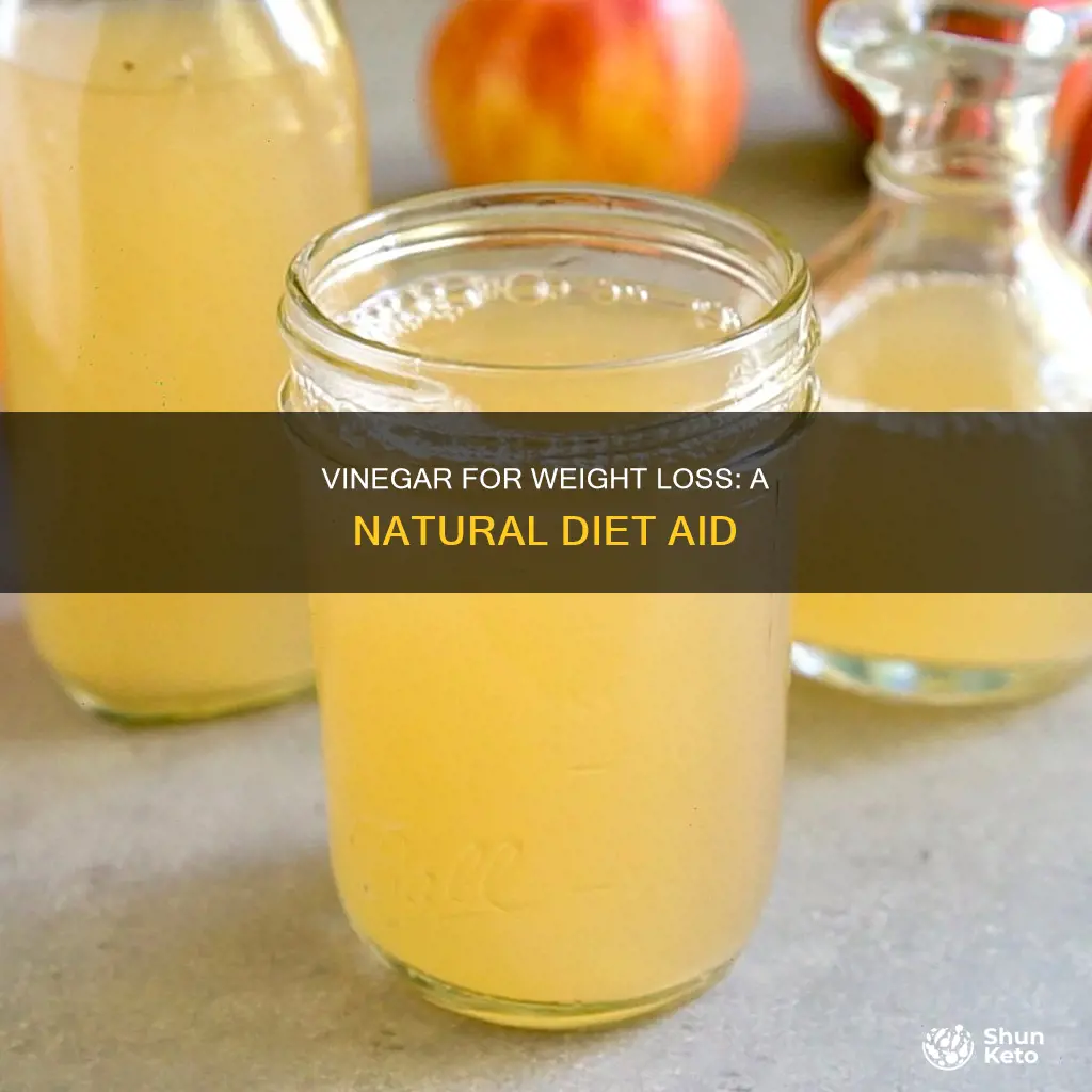 how to use vinegar for diet