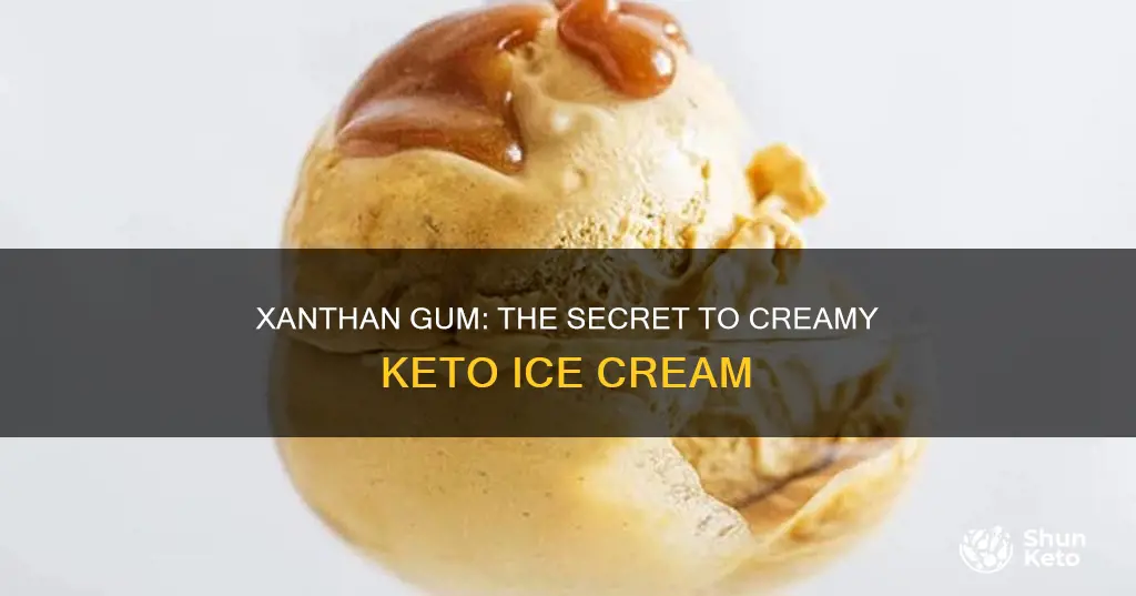 how to use xanthan gum in keto ice cream