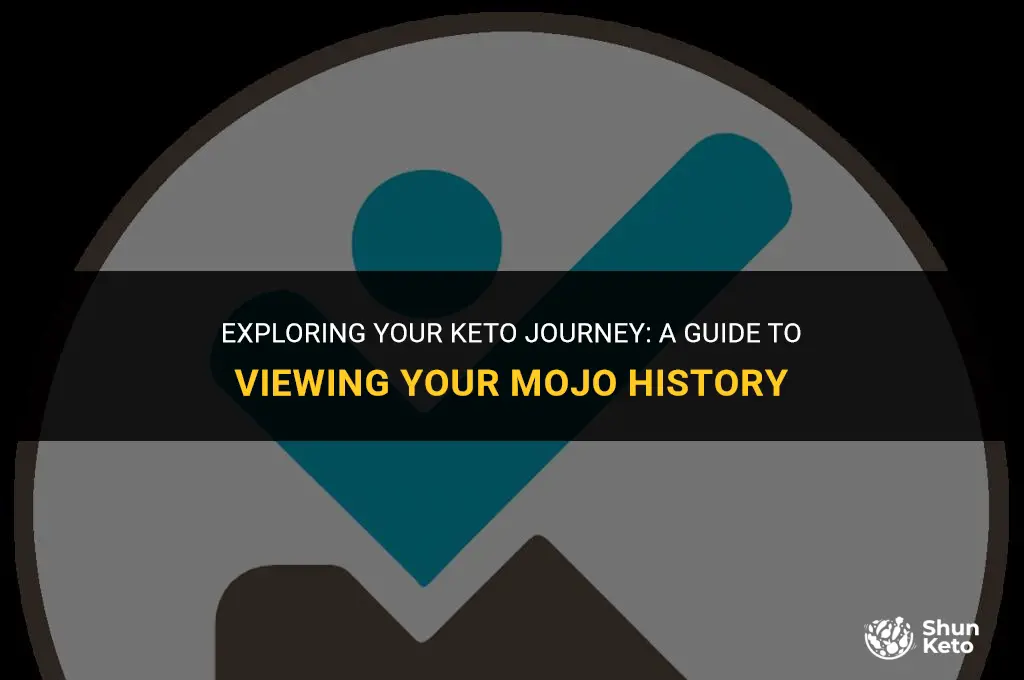 how to view history keto mojo
