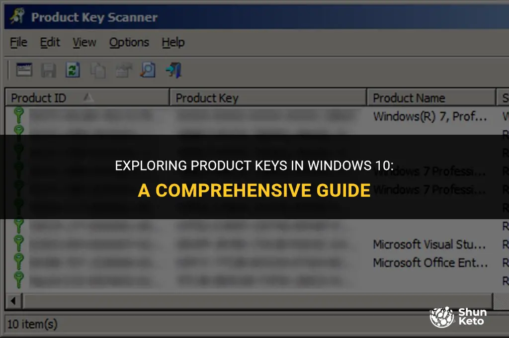 how to view product ket windows 10