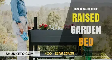 Efficient Watering Tips for Your Keter Raised Garden Bed Success