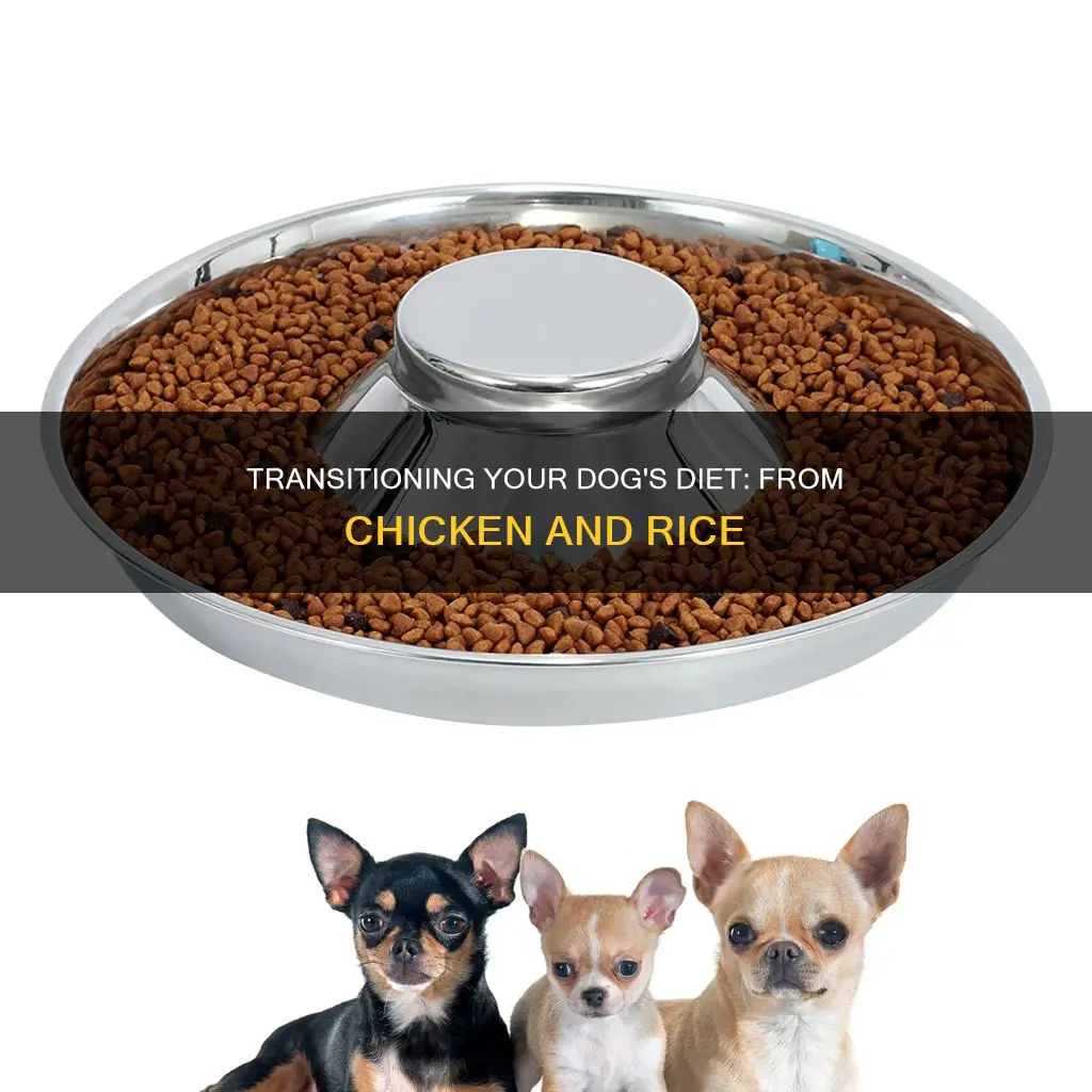 how to wean dog off a chicken and rice diet