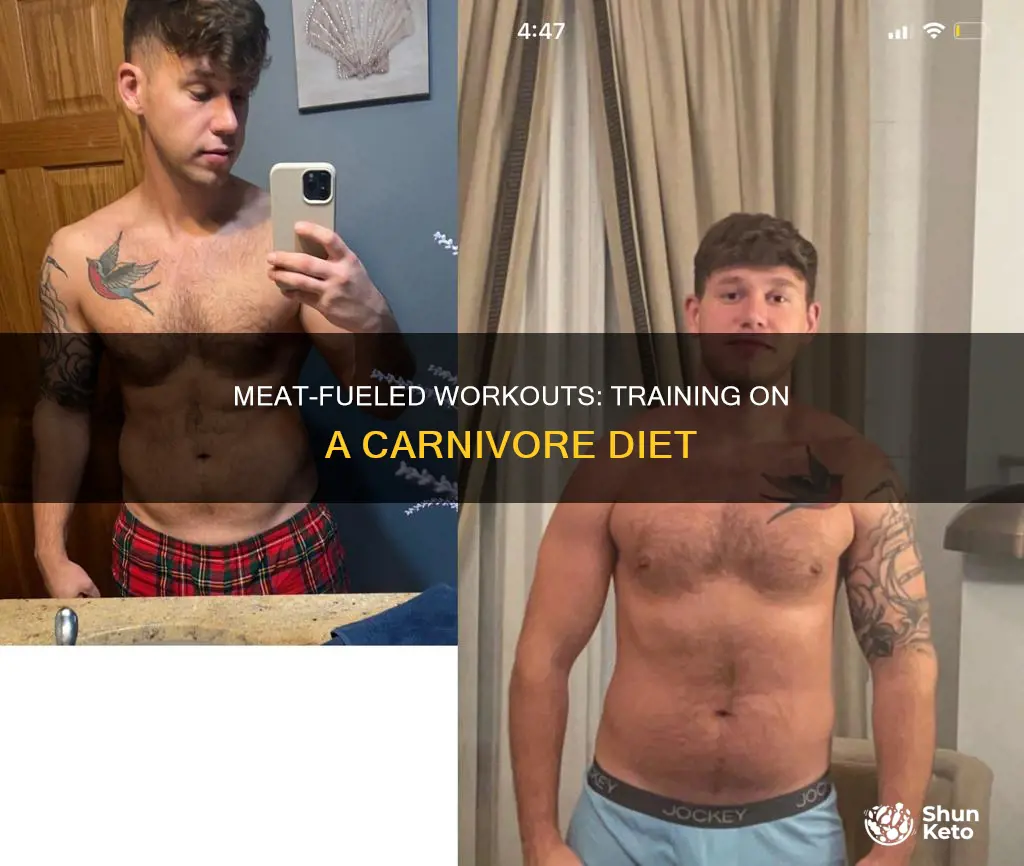 how to workout on carnivore diet