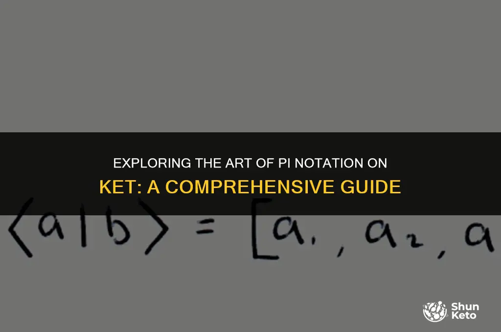 how to write pi on ket