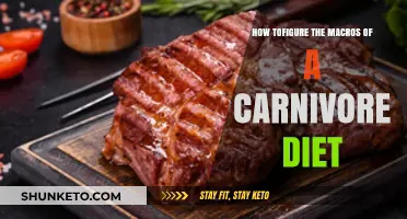 Carnivore Diet: Mastering Your Macros